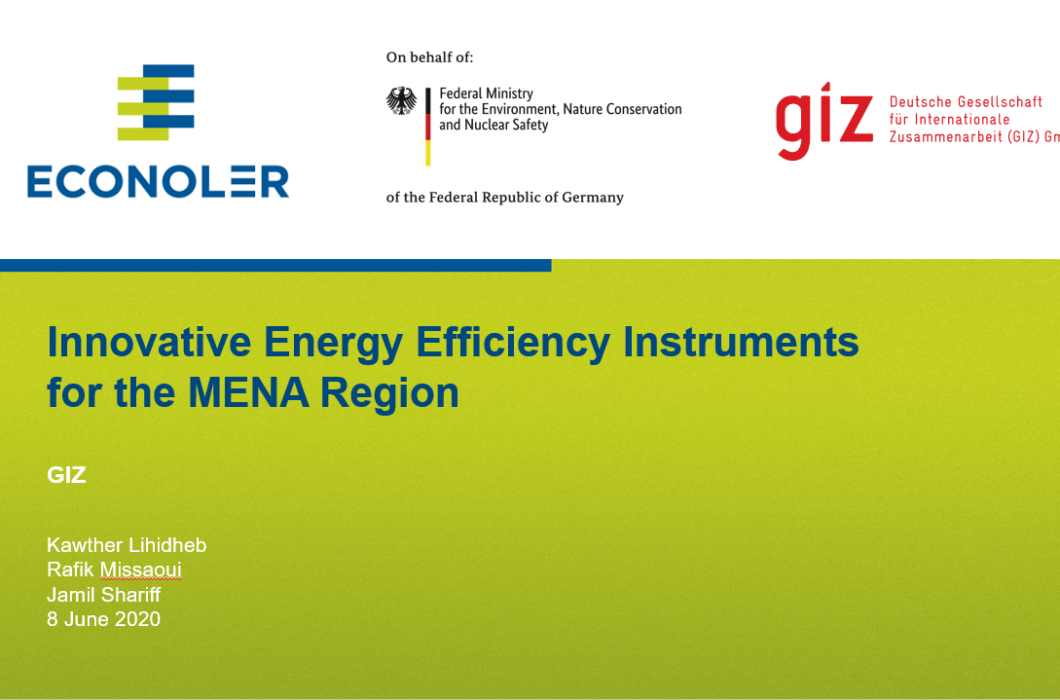 Innovative Energy Efficiency Instruments for the MENA Region